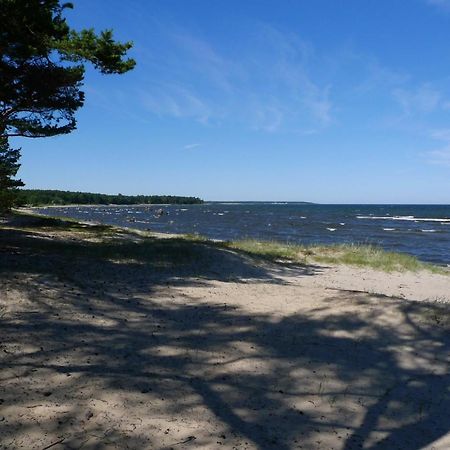 Turisalu Puhkebaas Hotel Zewnętrze zdjęcie